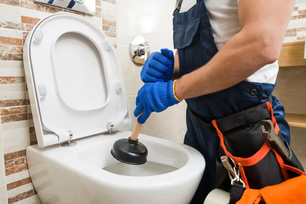 toilet